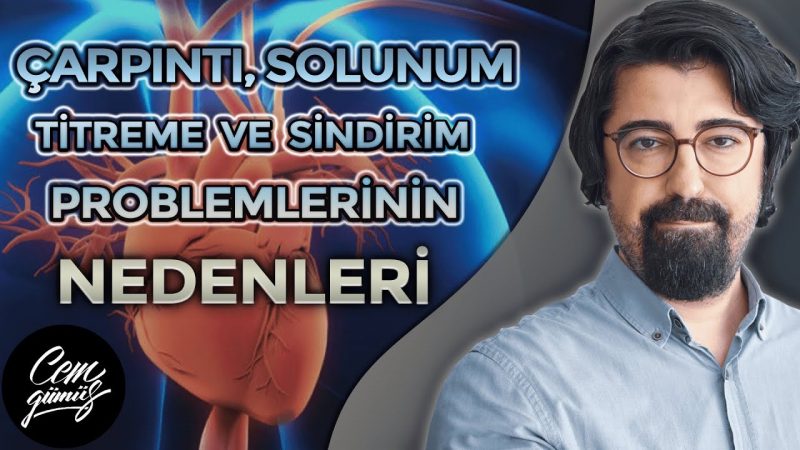 panik atakların nedenleri