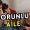 sorunlu aile